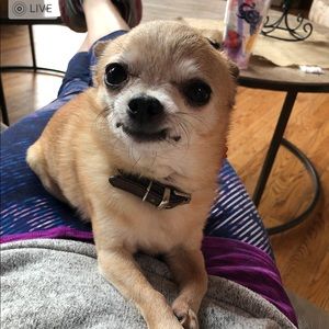 Meet your Posher, Cassandra